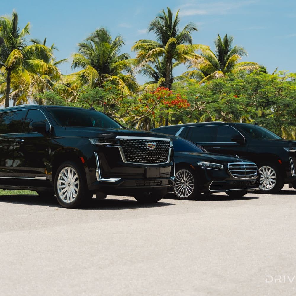 Book VIP Miami Limo for Exclusive City &amp; Nightlife Experiences
