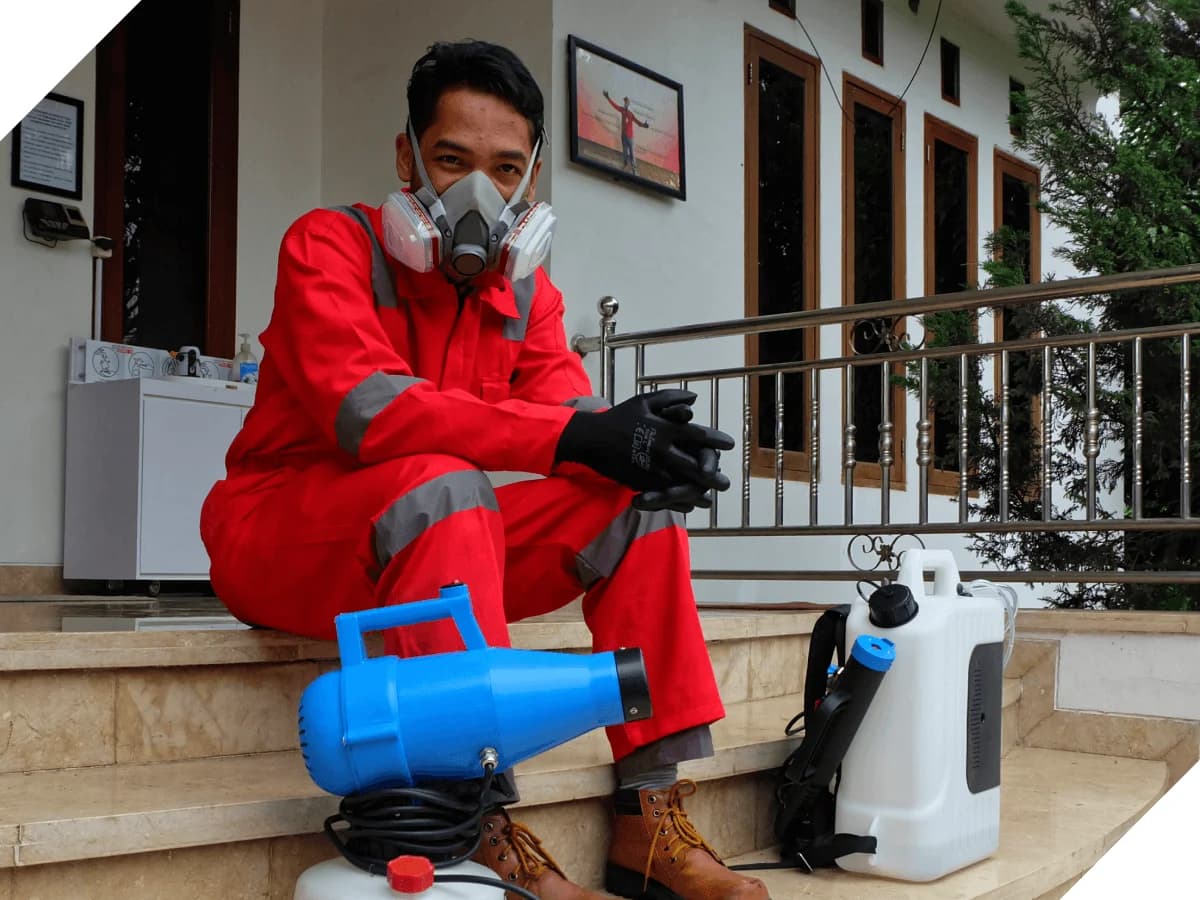 Jasa Anti Rayap Profesional untuk Perlindungan Maksimal Bangunan Anda