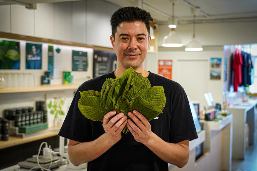 Organic Kratom Drinks Thailand for Mind and Body Balance