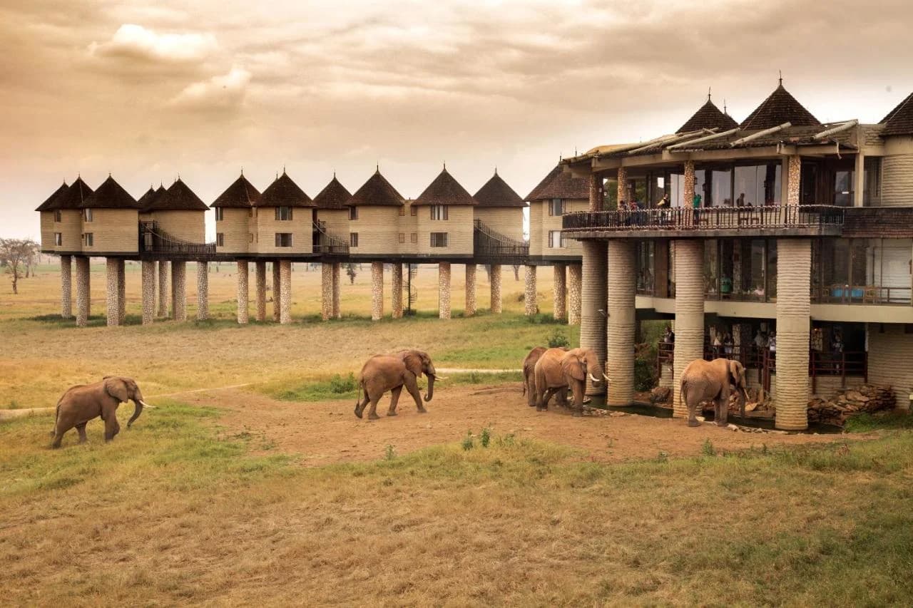 Kenya Safari Adventures: Stunning Landscapes &amp; Culture