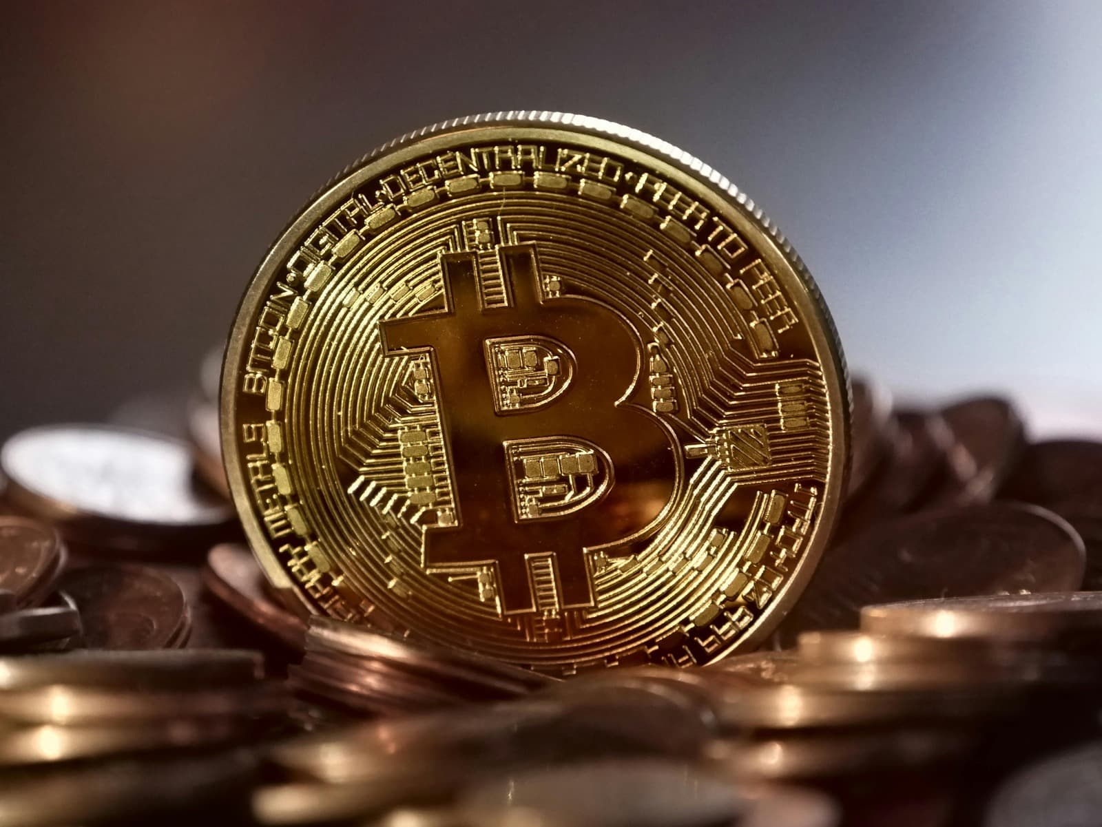 Top Traits of Legitimate Crypto Recovery Companies You Can Trust