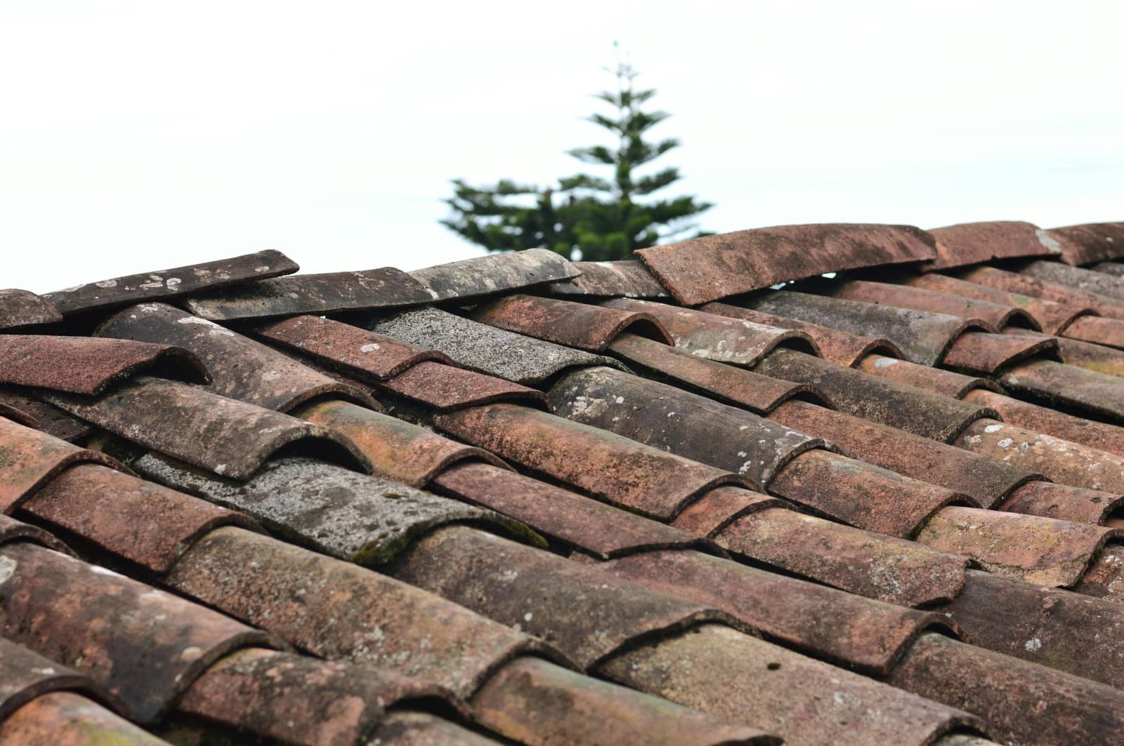 Peak Exteriors: Expert Roofers near Covington, LA Since [Year]