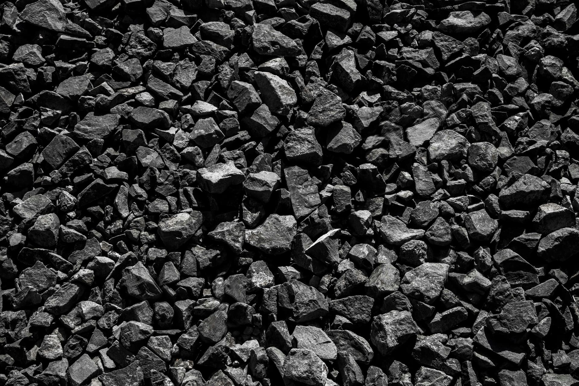 BBQ Charcoal Wholesale Netherlands: Premium Quality for Perfect Grilling