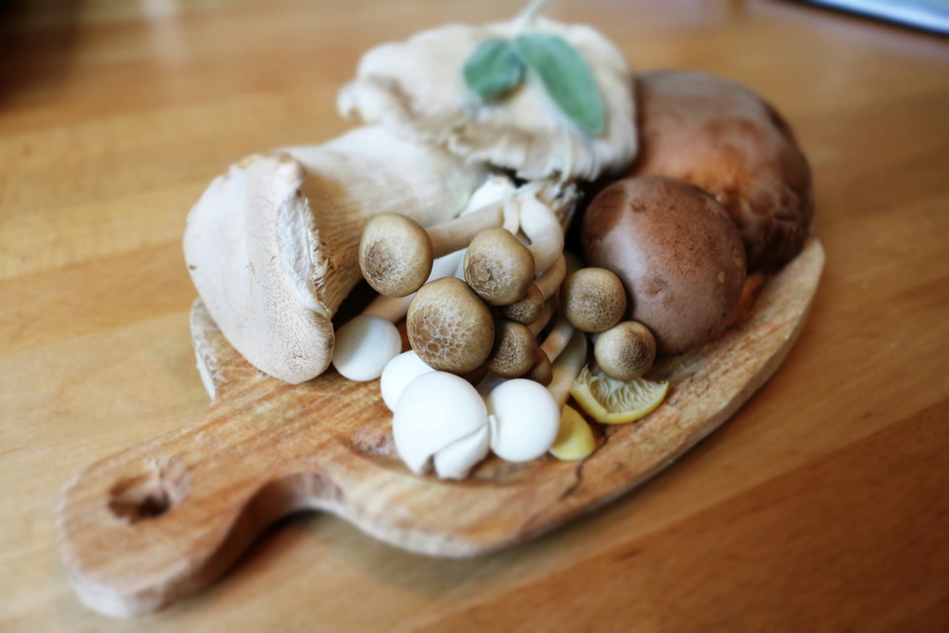 WHY CHEFS LOVE WORKING WITH MUSHROOMS