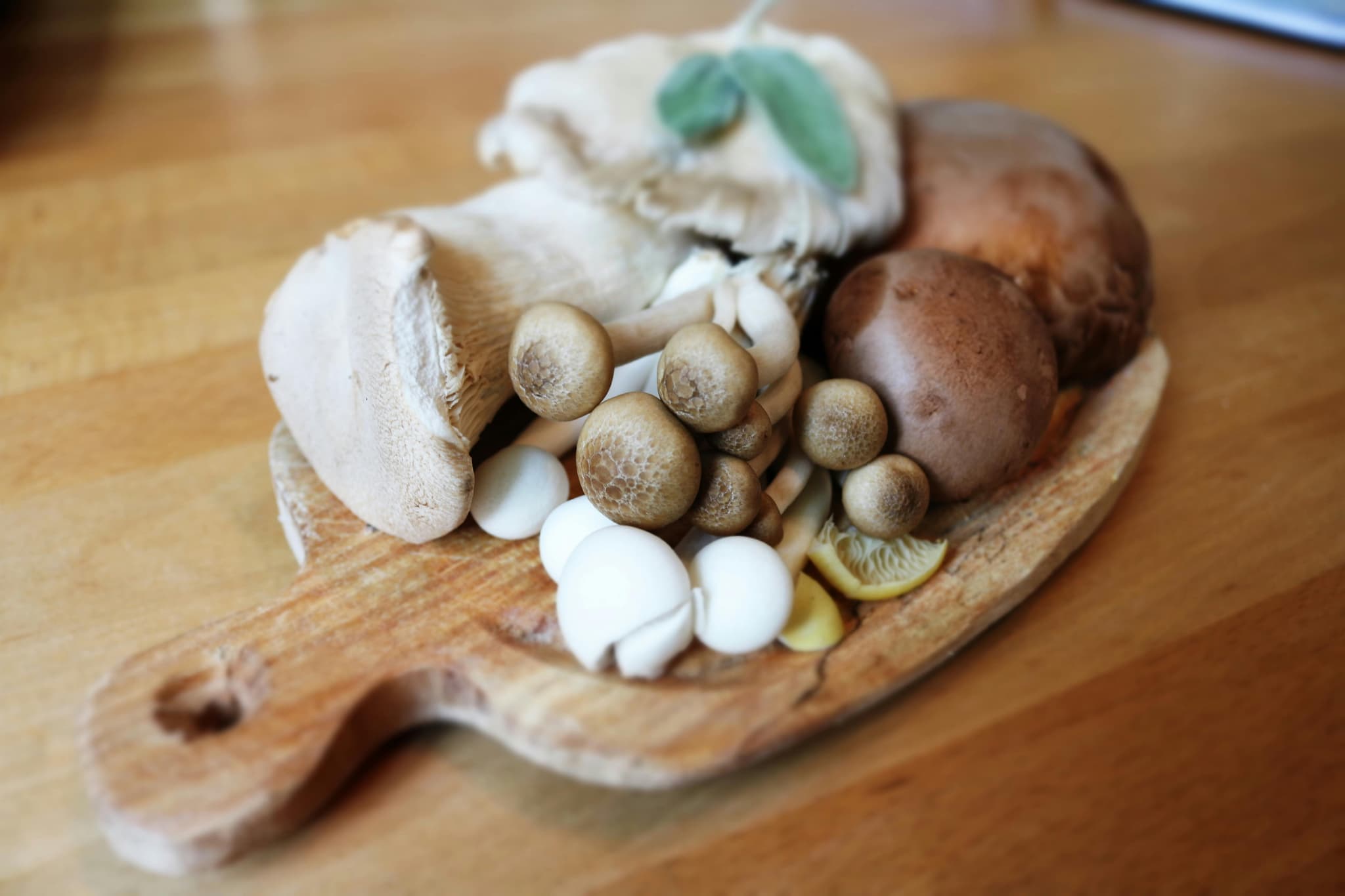 WHY CHEFS LOVE WORKING WITH MUSHROOMS