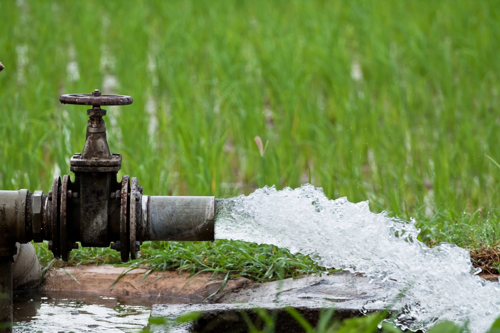 Professional Irrigation Services in Bedford, TX for Optimal Lawn Health