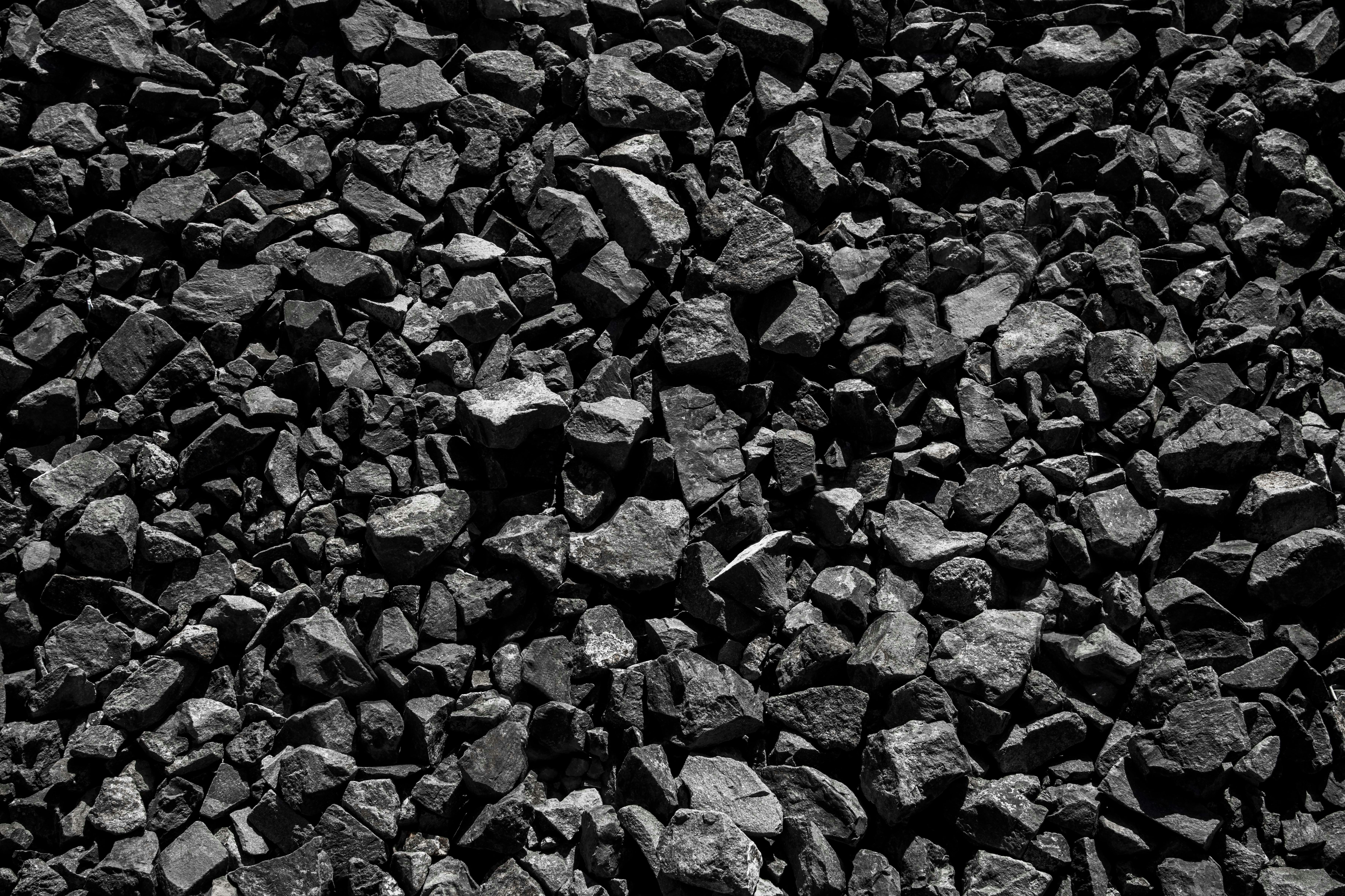 BBQ Charcoal Wholesale Netherlands: Premium Quality for Perfect Grilling
