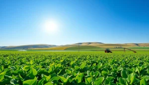 Land irrigation systems improving crop growth in a vibrant agricultural landscape.